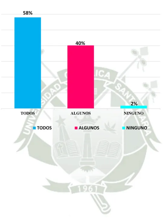 GRÁFICO N°17 