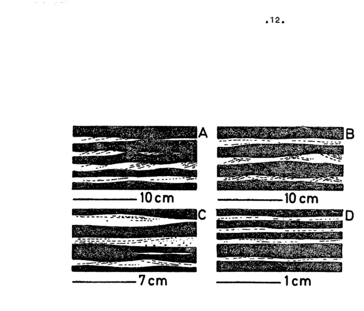 Fig. 1.- Estratificación de tipo lenticular y flaser en las