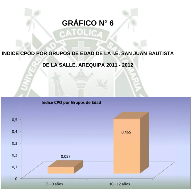 GRÁFICO N° 6 