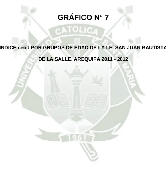 GRÁFICO N° 7 