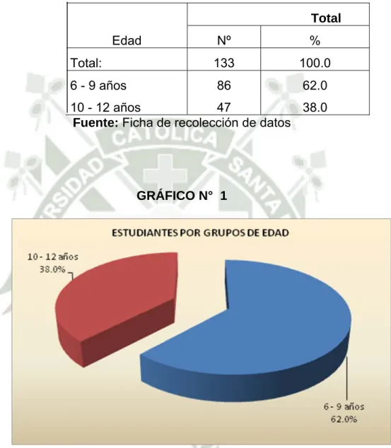 GRÁFICO N°  1 