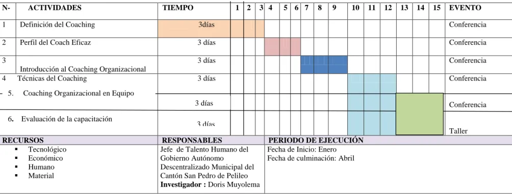 Cuadro Nº 5PROGRAMA DE ENTRENAMIENTO SOBRE COACHING PARA PROFESIONALES