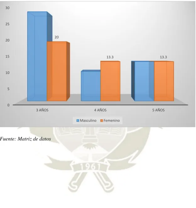 GRÁFICO Nº 1