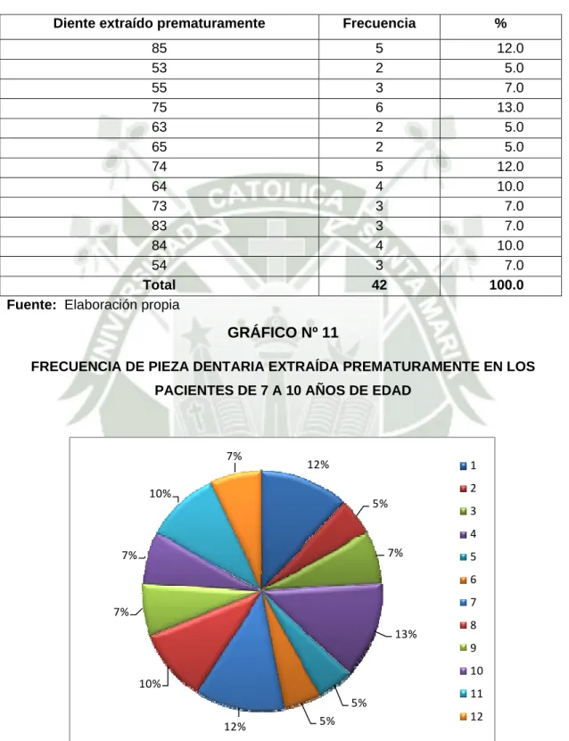 GRÁFICO Nº 11 