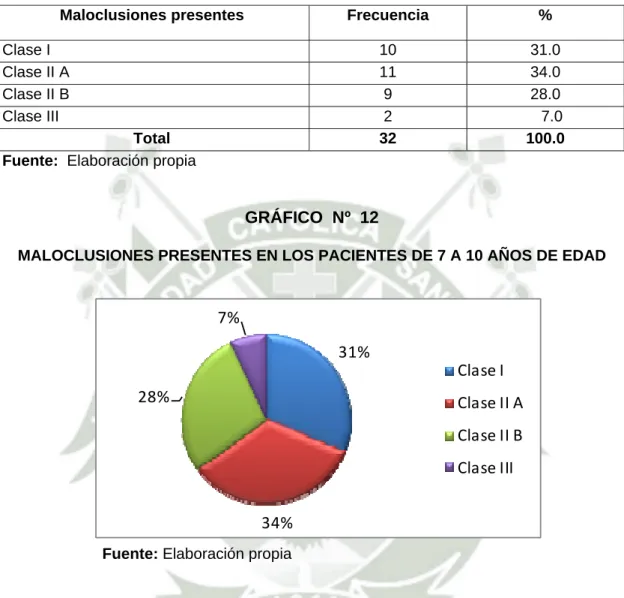 GRÁFICO  Nº  12 