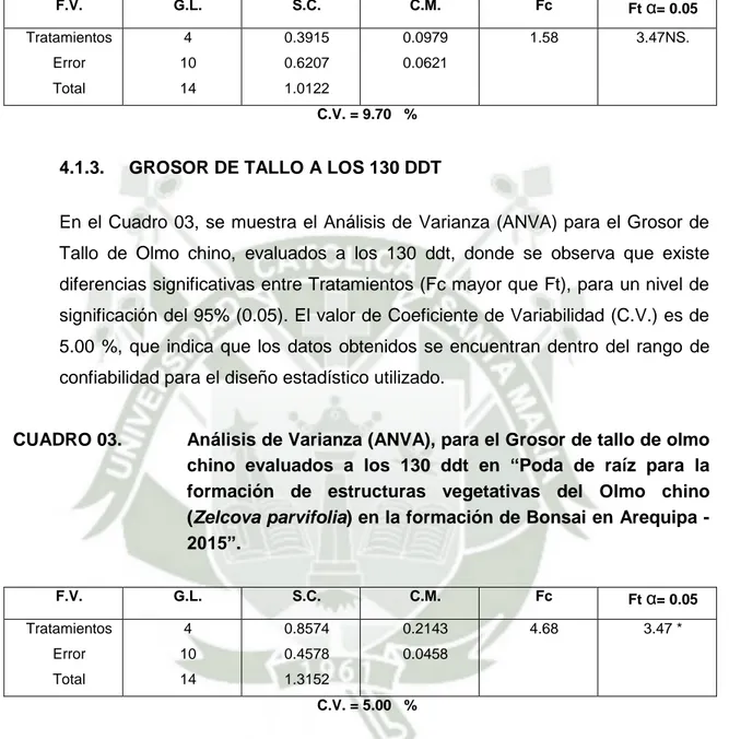 CUADRO 03.    Análisis de Varianza (ANVA), para el Grosor de tallo de olmo  chino  evaluados  a  los  130  ddt  en  “Poda  de  raíz  para  la  formación  de  estructuras  vegetativas  del  Olmo  chino  (Zelcova parvifolia) en la formación de Bonsai en Areq