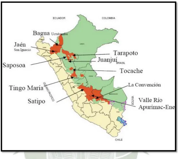 Figura  N°  2:  Principales  zonas  productoras  de  cacao  ubicadas  dentro  del  territorio  Peruano