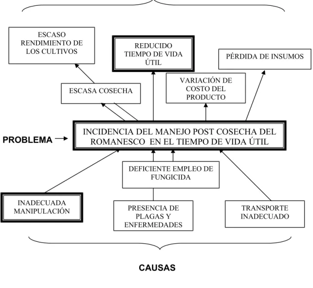 Gráfico 1.