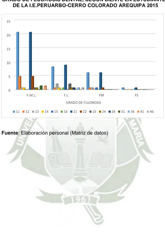 GRÁFICO Nº 7