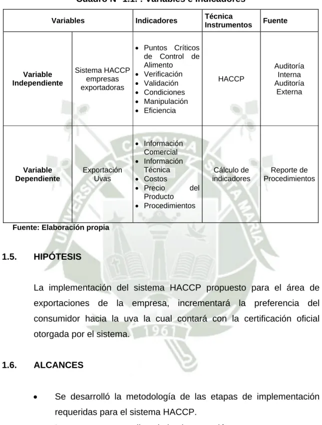 Cuadro N° 1.1. : Variables e Indicadores 