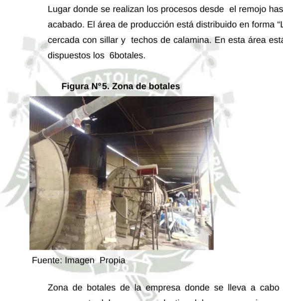 Figura N° 5. Zona de botales 