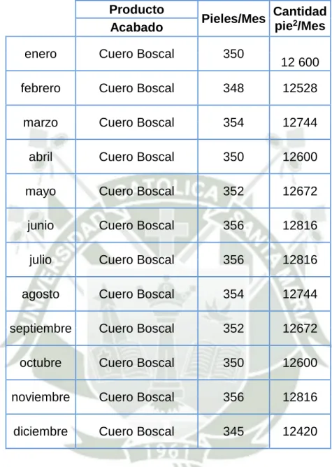 Cuadro N° 13 Numero de pieles procesadas al mes 