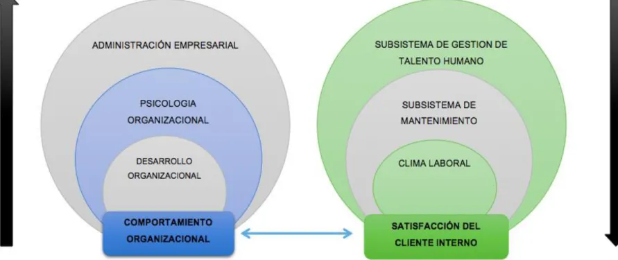 Gráfico 4. Categorización de Variables 