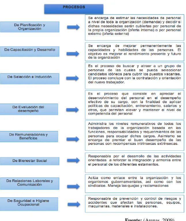 Gráfico 5. Procesos de Gestión de Talento Humano 
