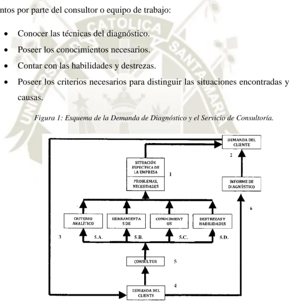 Figura 1: Esquema de la Demanda de Diagnóstico y el Servicio de Consultoría. 