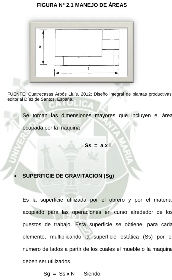 FIGURA Nº 2.1 MANEJO DE ÁREAS 
