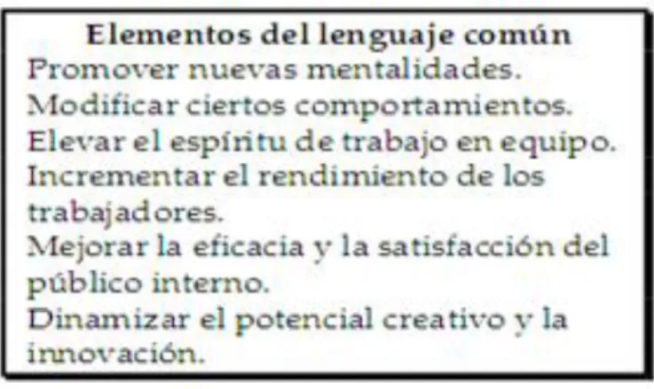 Cuadro 4: Elementos del lenguaje común  Fuente: Internet 