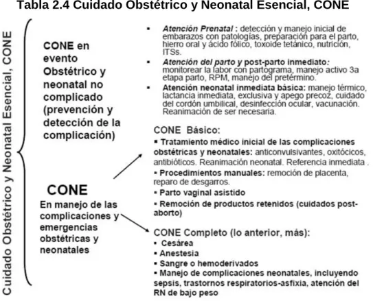 Tabla 2.4 Cuidado Obstétrico y Neonatal Esencial, CONE 