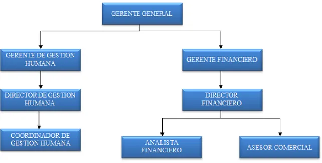 Figura 3. Organigrama del área administrativa de la empresa 