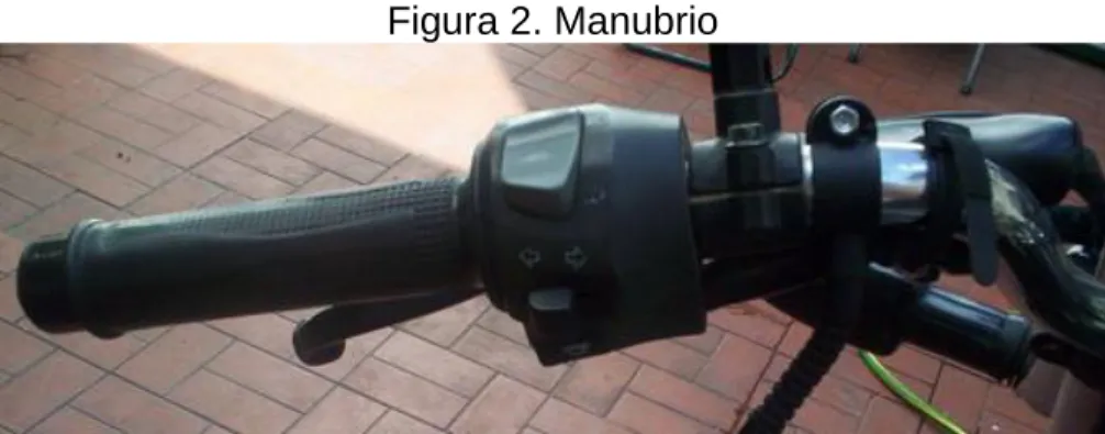 Figura 2. Manubrio 