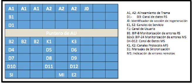 Figura 4. Asignación de bytes de la cabecera de Sección 