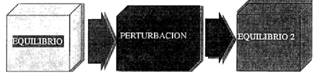 Figura 1.  Una perturbación provoca un transitorio entre dos estados. 