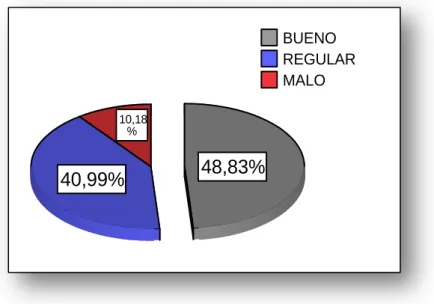 Gráfico No. 12 APRECIACIÓN DEL ASPECTO INTERNO DE LOS BUSES 