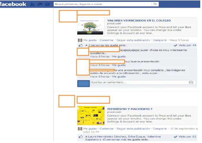Figura 4. Pantallazo de publicación en Facebook. 