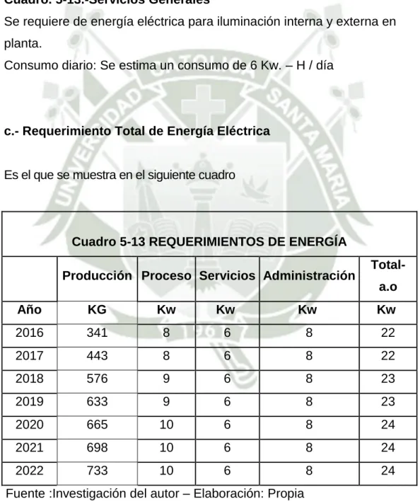Cuadro 5-13 REQUERIMIENTOS DE ENERGÍA 