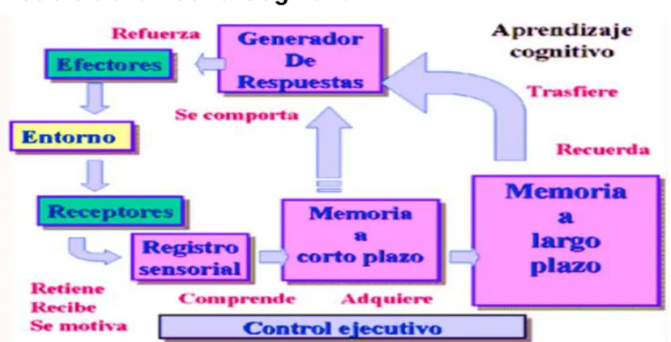 Ilustración No. 3: Modelo de Teoría Cognitiva 