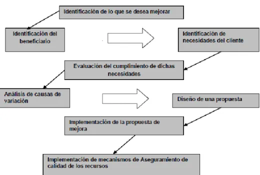 Gráfico 6: Modelo de mejora continúa 