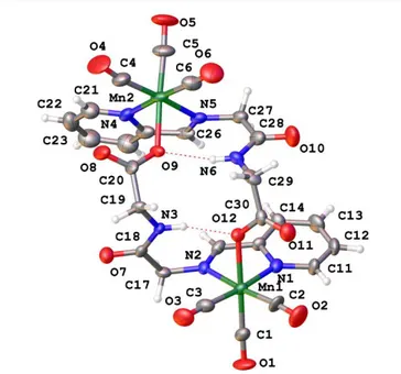 Figure 4. Perspective view of compound 4a showing the atom numbering. H-bond  lengths (Å) and angles (º) R 2 2 (10) system: N(3)-H(3) 1.03, H(3)...O(12) 1.844(7),  N(3)...O(12) 2.832(8), N(3)-H(3)...O(12)  161.3(5), N(6)-H(6) 1.03, H(6)...O(9) 1.856(8),  N