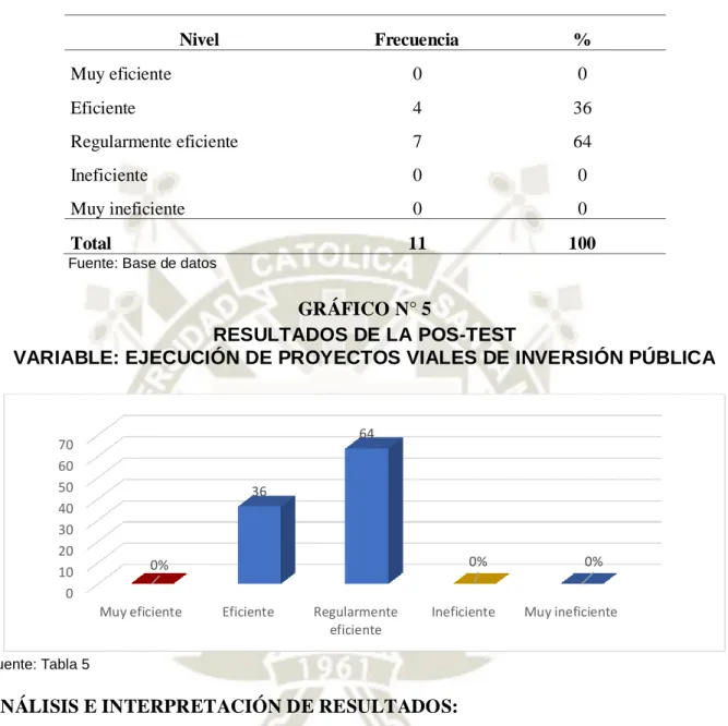 GRÁFICO N° 5 