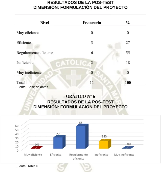 GRÁFICO N° 6 