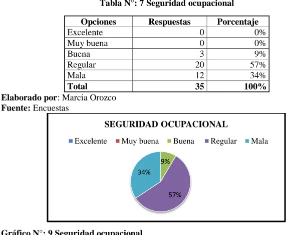 Tabla N°: 7 Seguridad ocupacional 