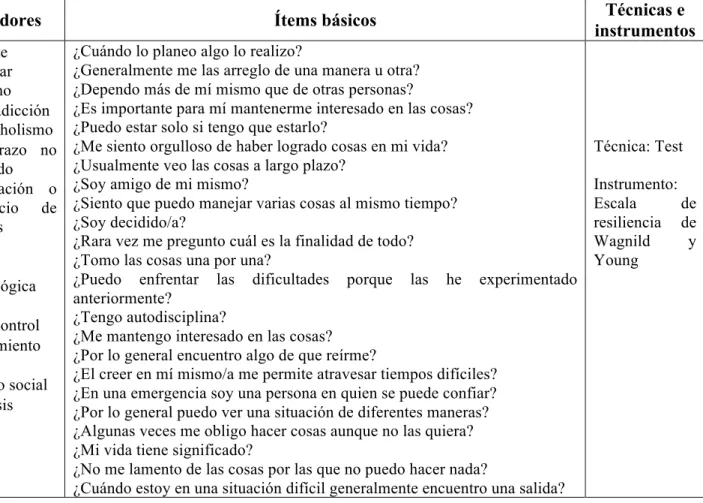 Cuadro 4: Operacionalización Variable Independiente 