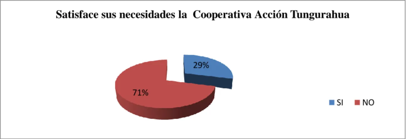 Gráfico Nº 6. Conocimiento de la satisfacción del objetivo del  socio. 