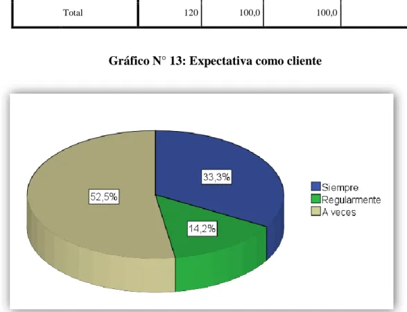 Gráfico N° 13: Expectativa como cliente 