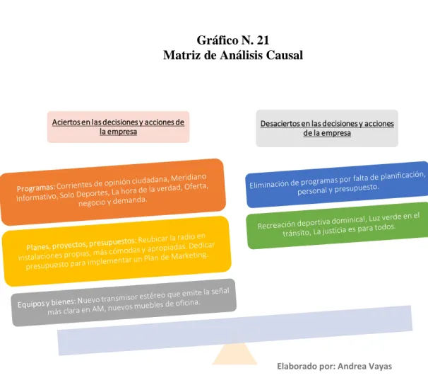 Gráfico N. 21  Matriz de Análisis Causal 
