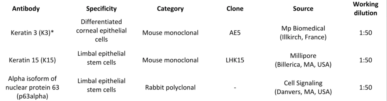 Table S1. Primary antibodies used for immunodetection assays . 