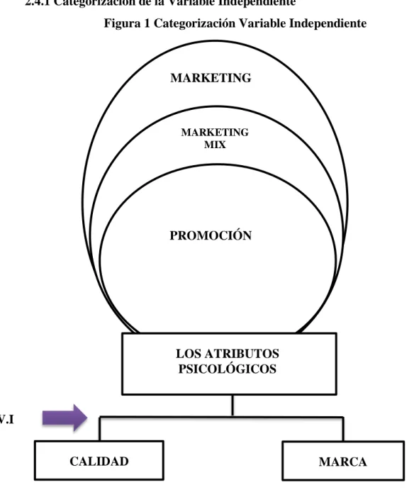 Figura 1 Categorización Variable Independiente 