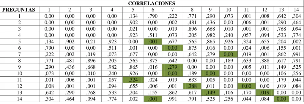 Tabla 19 Resumen de la tabla de Correlaciones 