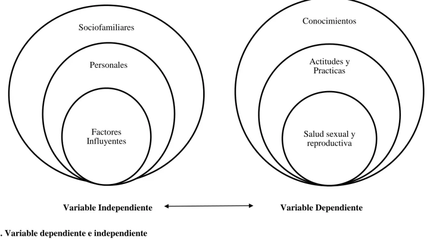 Gráfico 1. Variable dependiente e independiente 