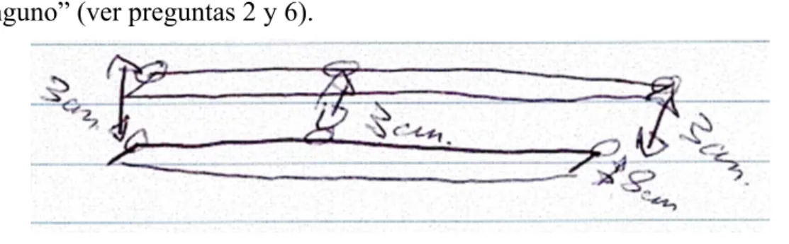Figura 2. Dibujo hecho en la pregunta 6 