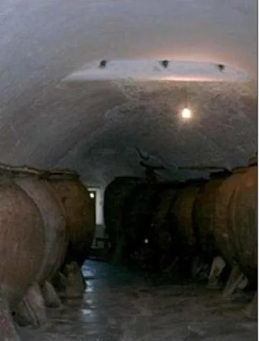 Ilustración 10. Interior de bodega del Tío Tinajas, Benamaurel.