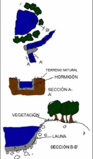 Ilustración 14. Planta y sección de una alberca tradicional. Elaboración propia.