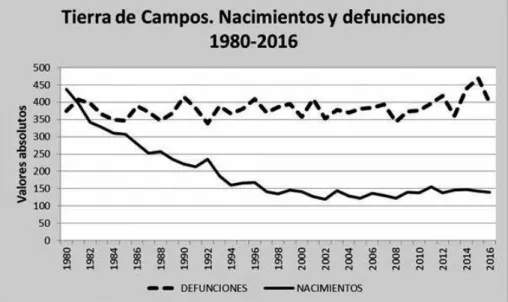 Gráfico 8