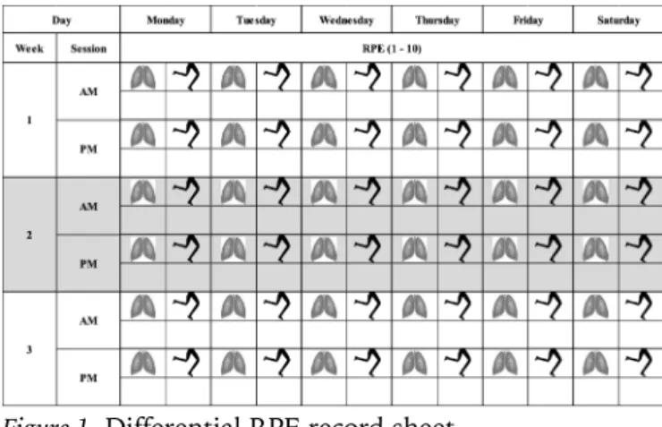 Figure 1. Differential RPE record sheet  
