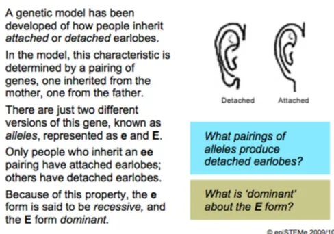 Figure 1. The slides supporting the section of the lesson under analysis 11 /12