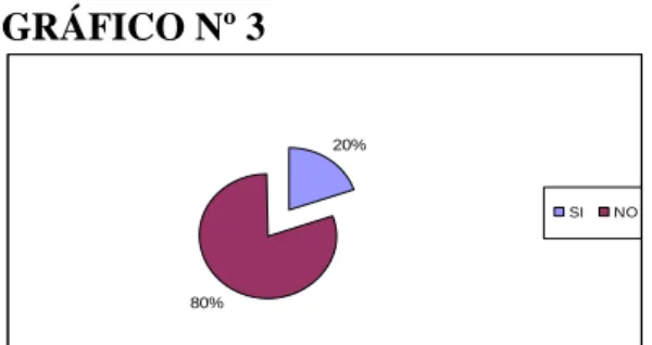 GRÁFICO Nº 3 